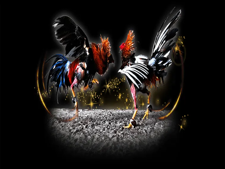 Cách Chơi Đá Gà GA28 Tại S666 Để Tận Hưởng Trận Đấu Kịch Tính